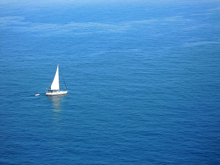 white sail boat on body of water during daytime, boot, ship HD wallpaper