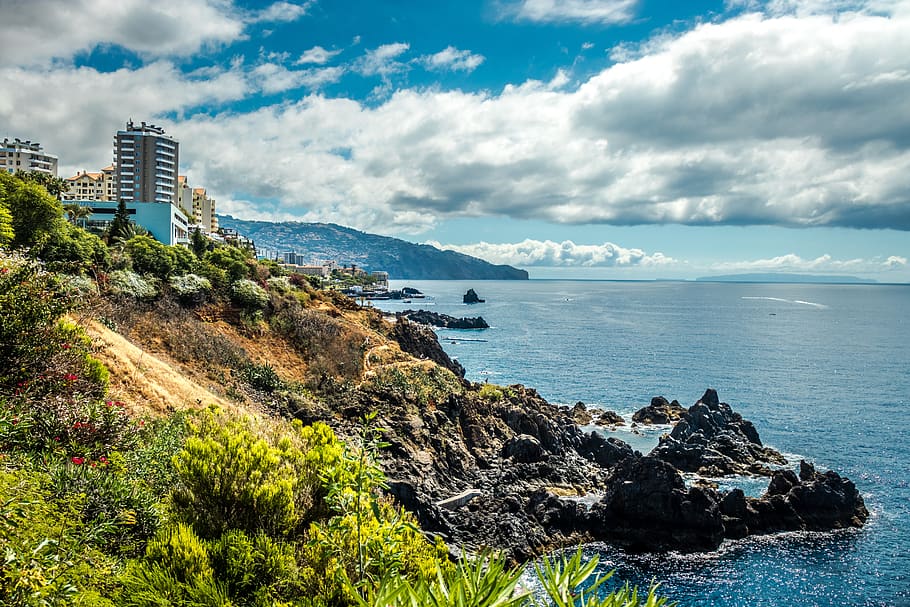 funchal city, wood island, costa, mar, architecture, tourism, HD wallpaper