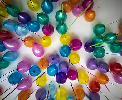assorted-color balloon lot, assorted-color balloons on white ceiling HD wallpaper
