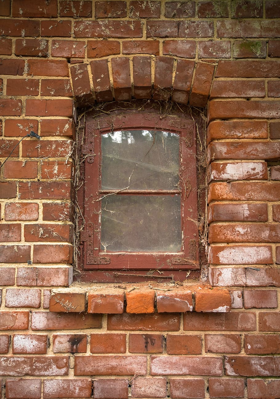 Window, Old, Stone, Stone Wall, ingrowing, background, old window, HD wallpaper