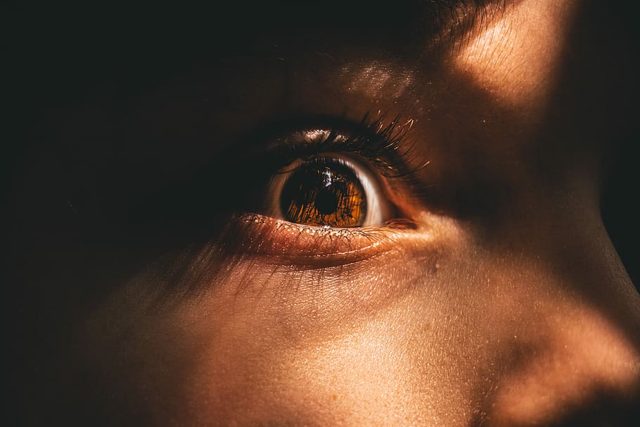 HD wallpaper: person's brown pupil tilt shift photography, closeup ...