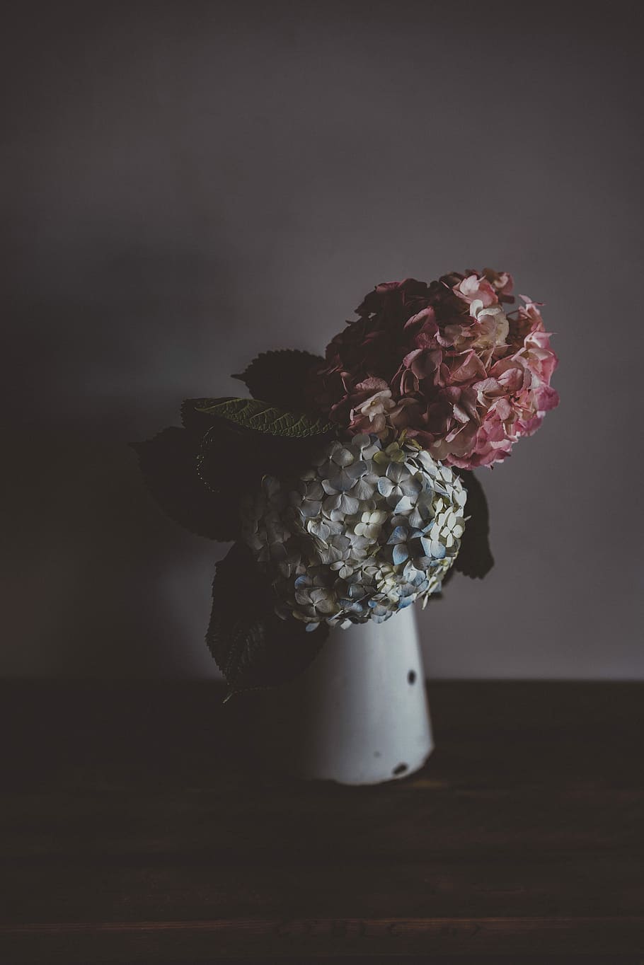 Enamel vase with hydrangeas - moody tone, vase of red and blue hydrangeas on brown surface HD wallpaper