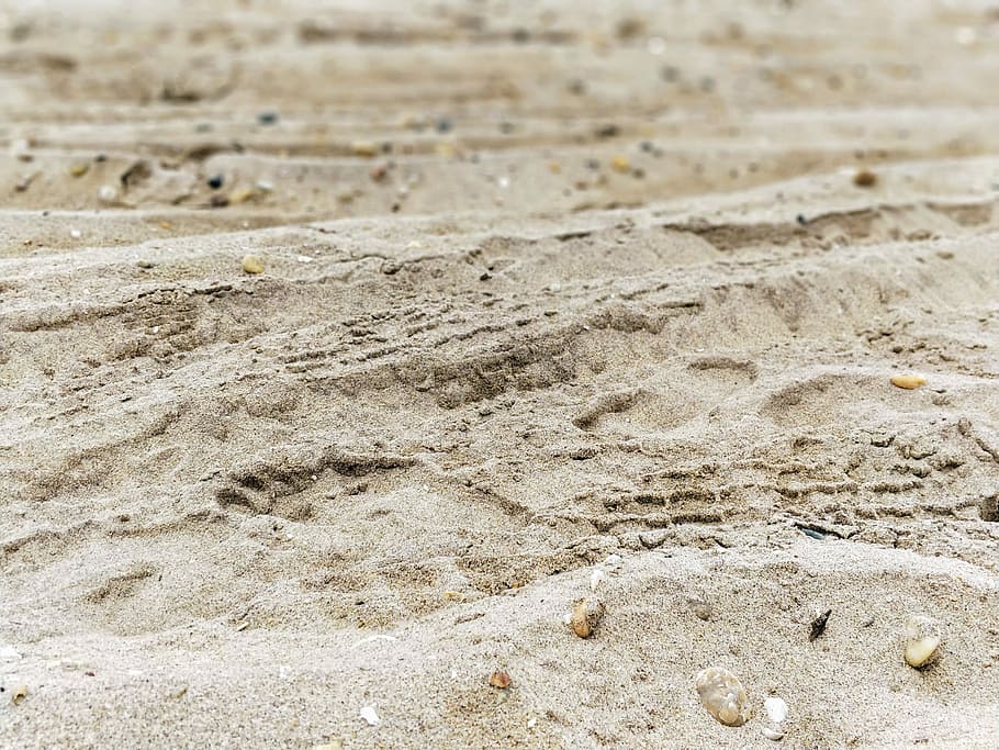 Sand, brown sand, rock, beach, closeup, detail, land, day, nature HD wallpaper