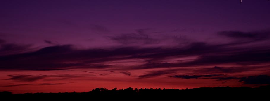 silhouette of trees under orange sky, sunset, clouds, nature HD wallpaper