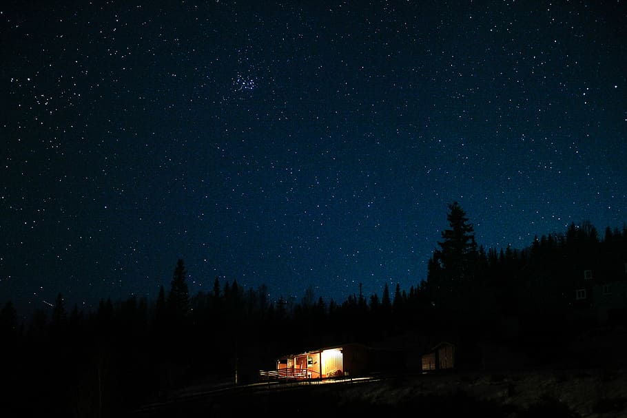 photo of house on forest, building surrounded by tree at nighttime HD wallpaper