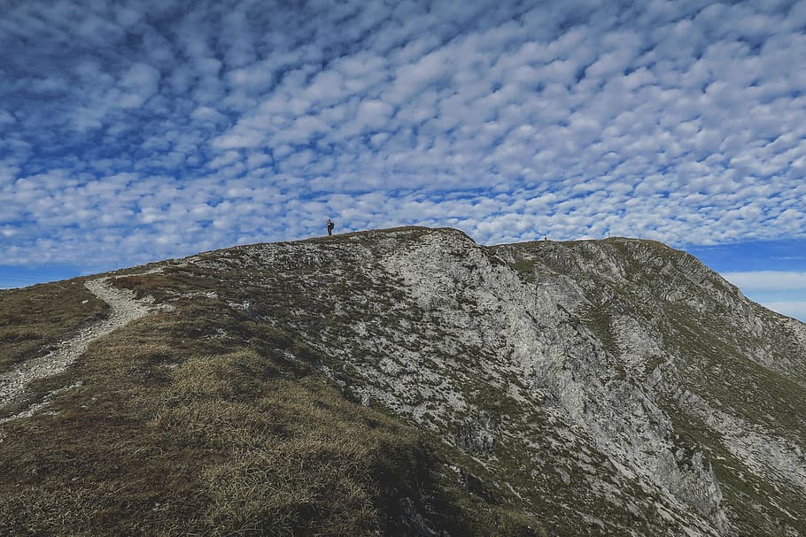 person standing on mountain during daytime, person on top of hill HD wallpaper