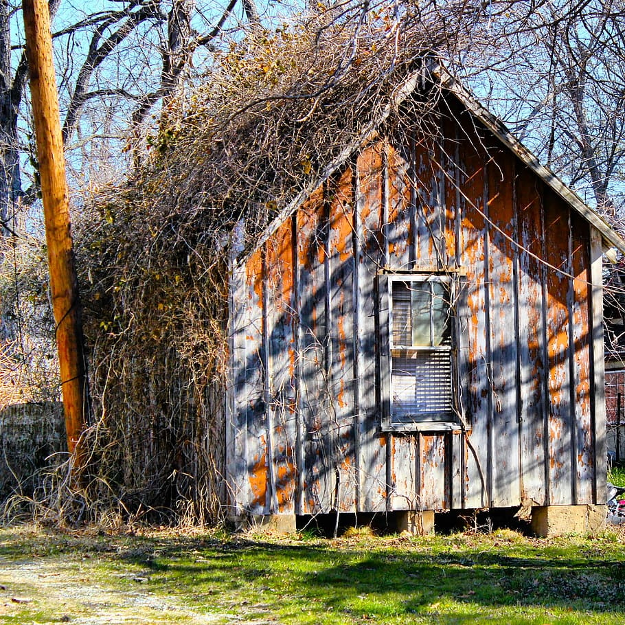 barn, farm, autumn, fall, scenic, countryside, outside, rustic HD wallpaper