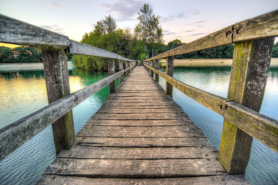 brown wooden dock in front of green trees, Bridge, Sunset, Water HD wallpaper