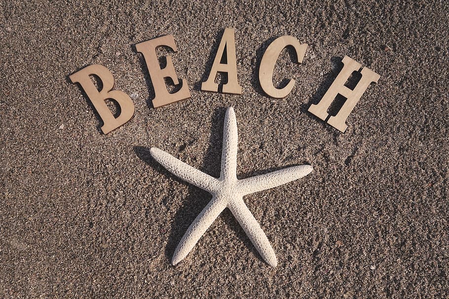 brown Beach signage with starfish decoration, sand, text, travel HD wallpaper