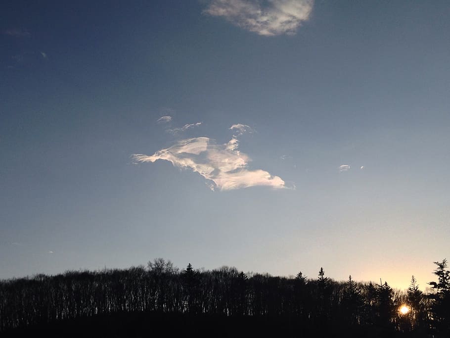 forest, evening, sky, clouds, outdoors, weather, meteorology HD wallpaper