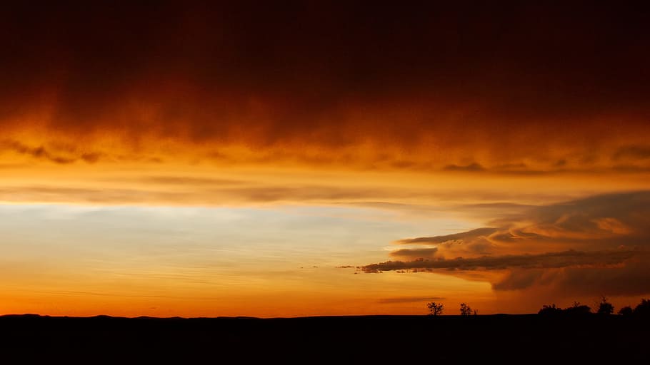 over the horizon photography during sunset, silhouette of trees photo HD wallpaper