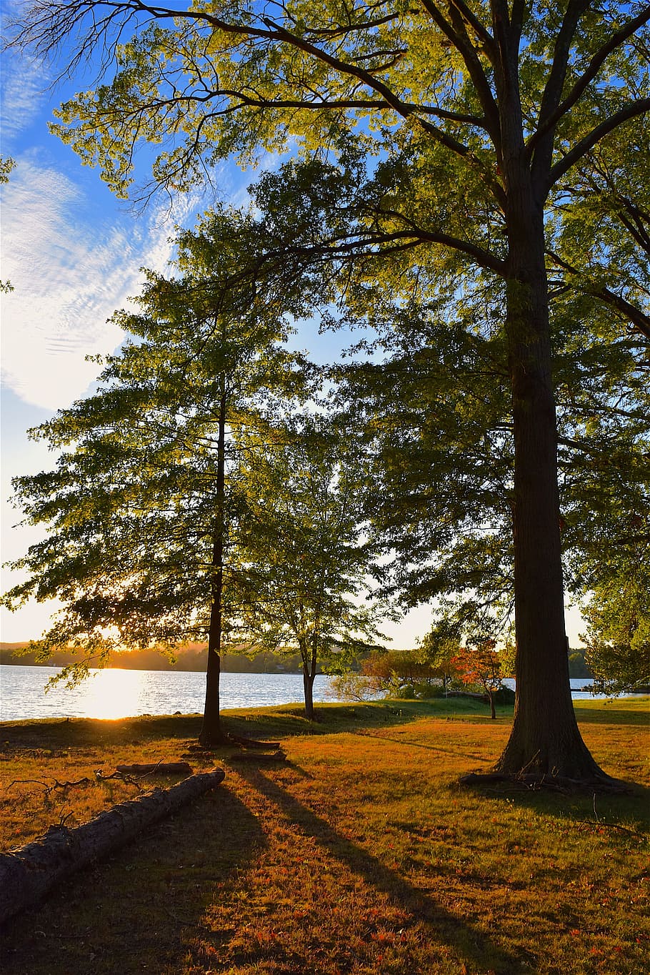 sunset, tree, lake, autumn, light, sunlight, shadow, natural HD wallpaper