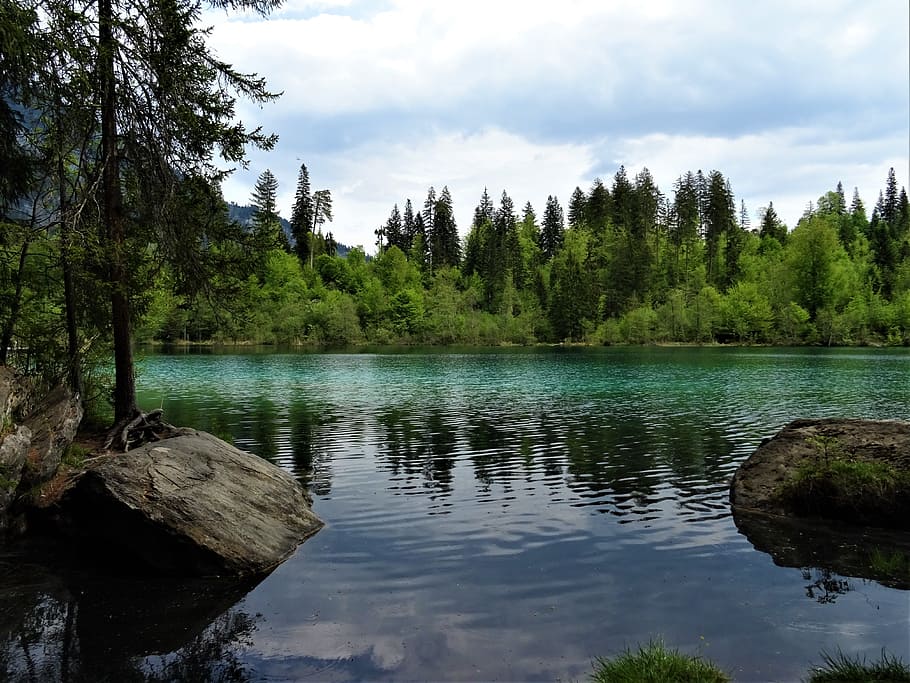 waters, lake, nature, reflection, tree, fir, stones, sky, green HD wallpaper