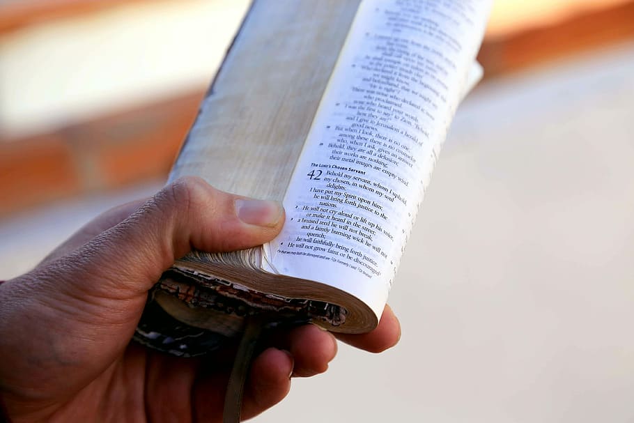 person's hand holding book, person holding bible, learn, study, HD wallpaper
