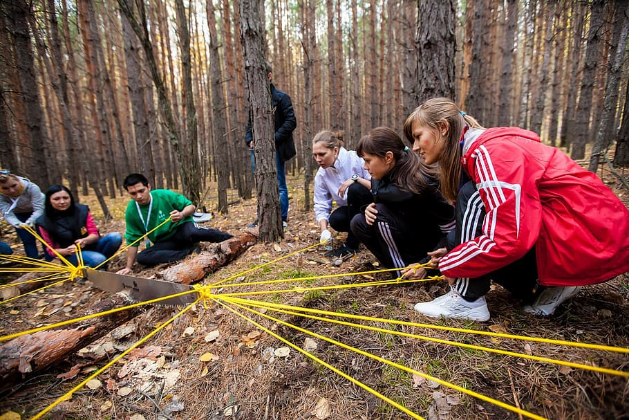 game, course, friends, training, group of people, men, forest HD wallpaper