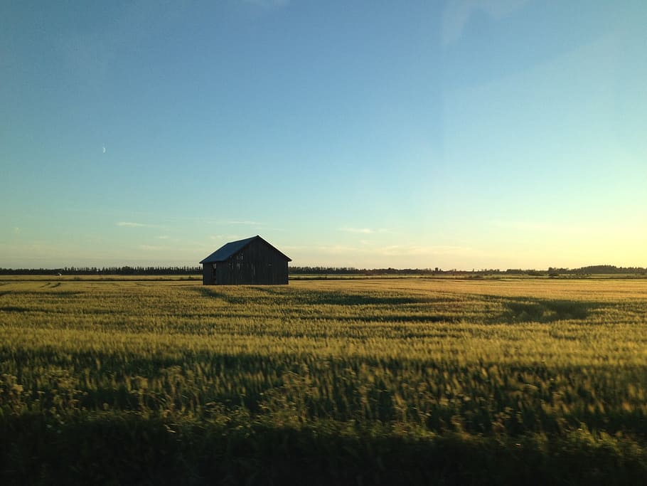 barn, landscape, field, sky, agriculture, farm, scenics - nature HD wallpaper