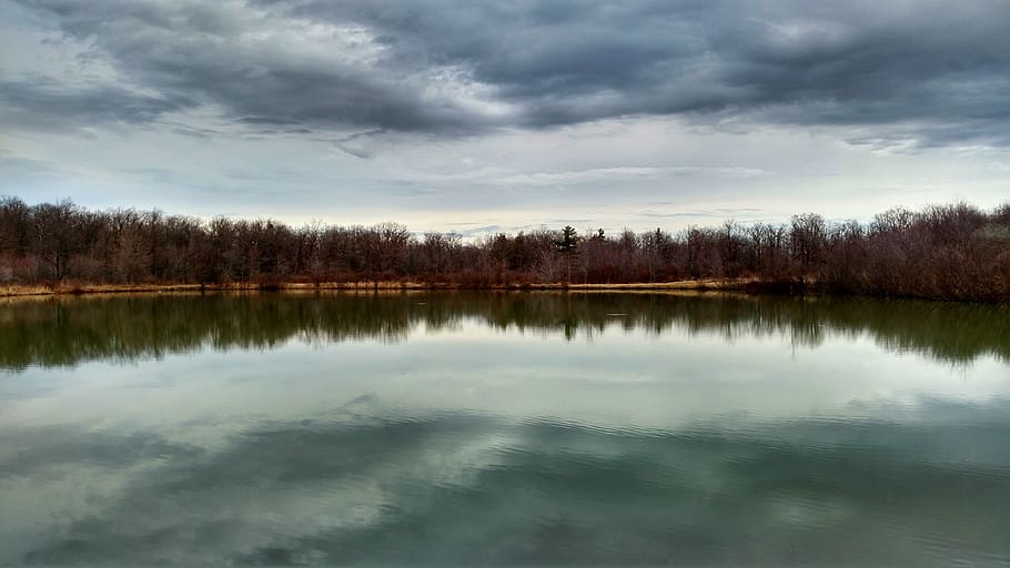 body of water near trees, lake, clear, fresh, smooth, calm HD wallpaper