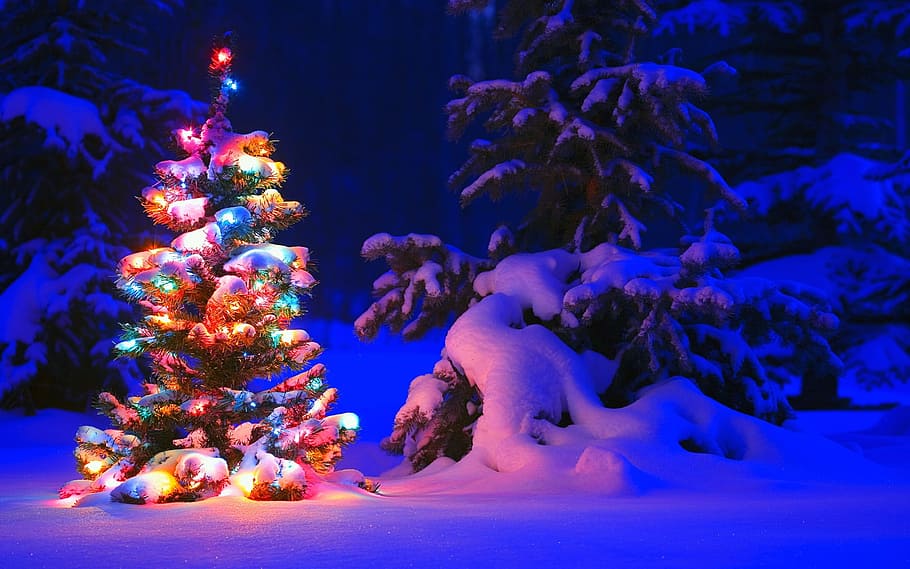multicolored Christmas tree on white snow, season, ice, winter HD wallpaper