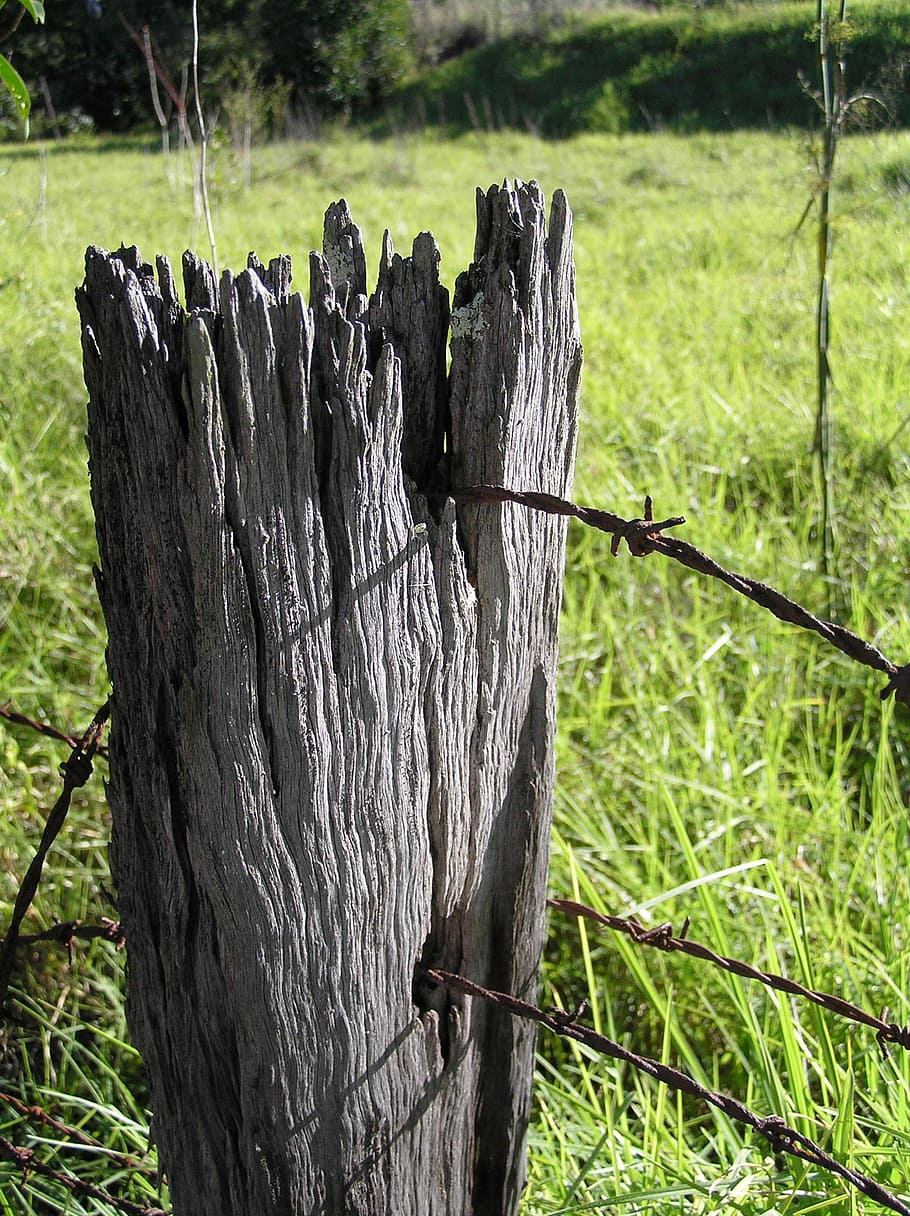 Fence, Post, Wood, Farm, Old, Wire, outdoor, rural, barbed, HD wallpaper