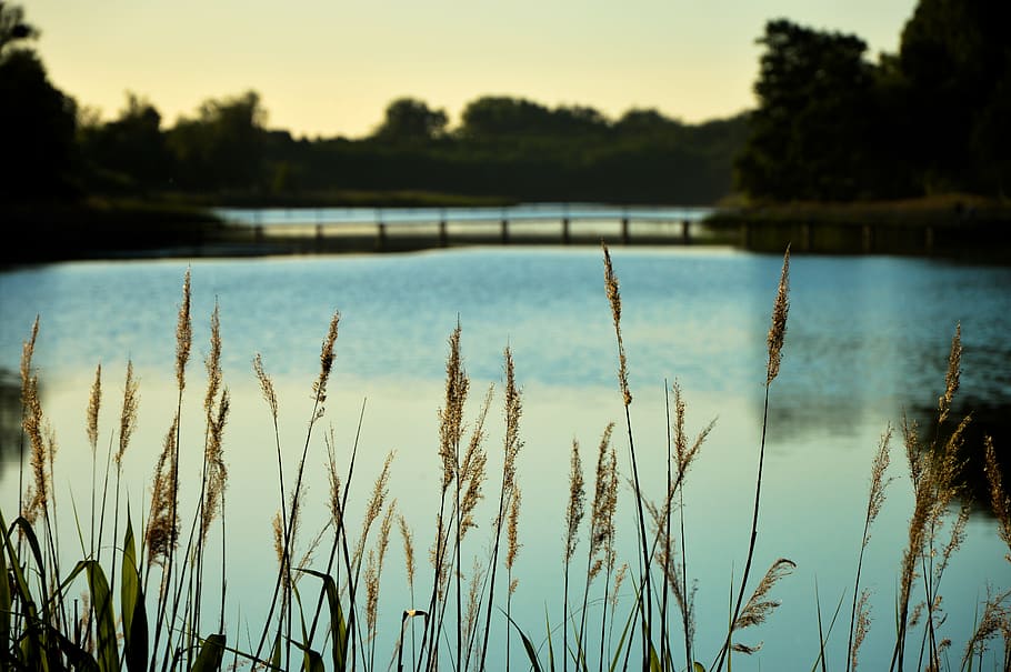 lake, nature, water, outdoors, summer, reflection, landscape HD wallpaper