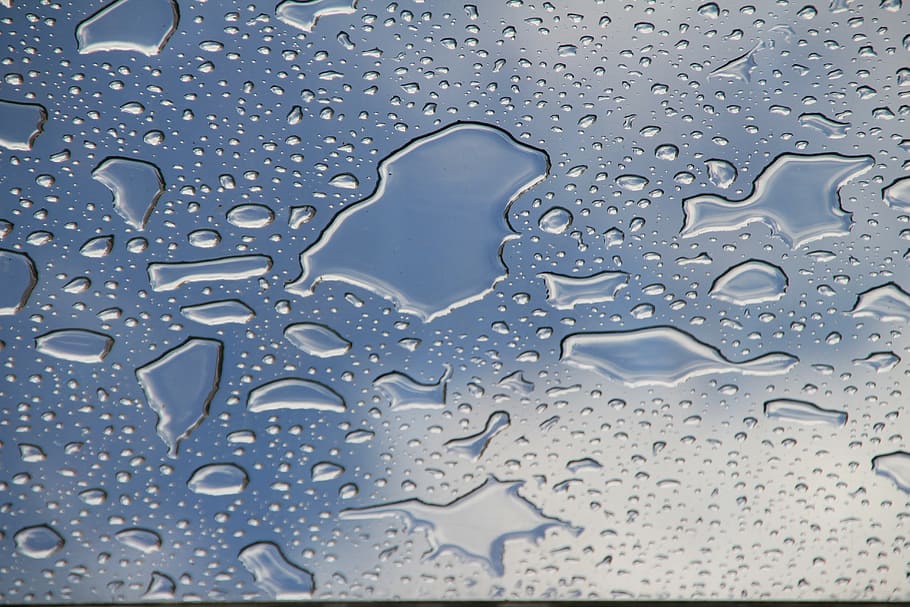water dew closeup photo, drop of water, raindrop, drip, macro