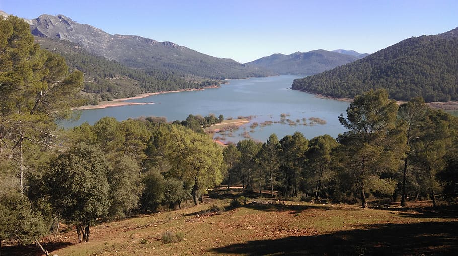 nature, rivers, cazorla, tree, mountain, plant, scenics - nature HD wallpaper