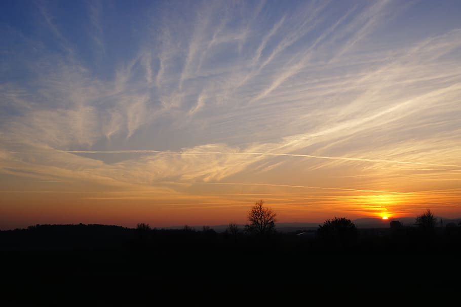 silhouette of trees under cloudy skies during golden hour, Evening HD wallpaper