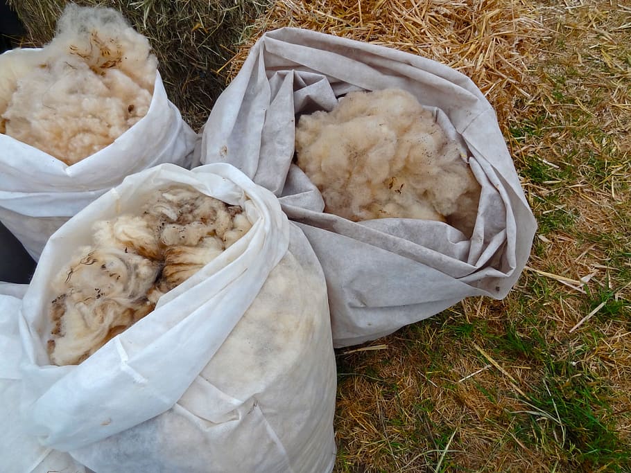 sheep's wool, schur, schäfer, farm, commodity, pure new wool