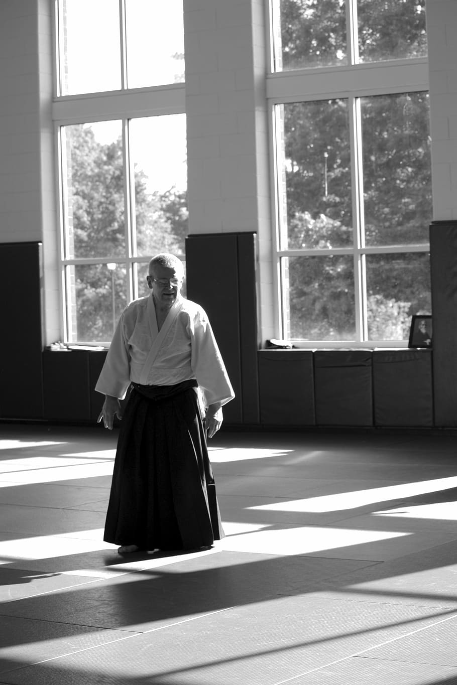 aikido, martial arts, self-defense, learning, seminar, senseis, HD wallpaper