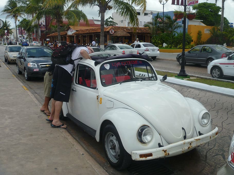 auto, vw, beetle, vw beetle, oldtimer, dare, vehicle, car, motor vehicle HD wallpaper
