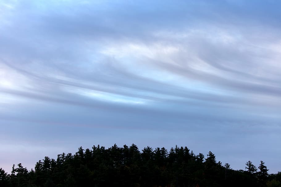 Silhouette Photography of Trees, backlit, cirrus clouds, conifers HD wallpaper