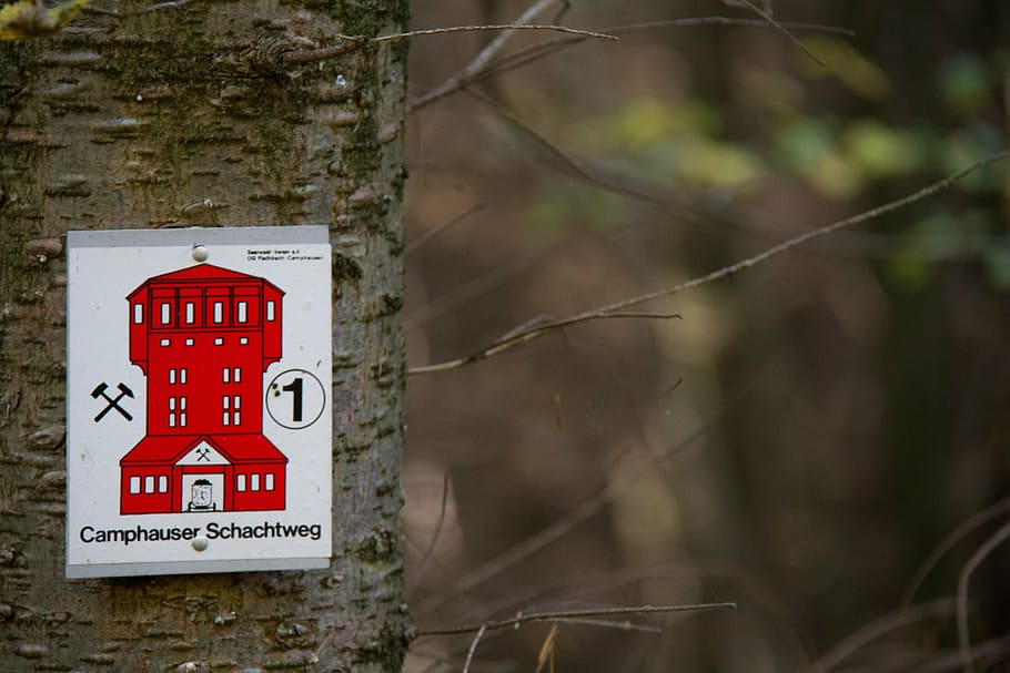 miners path, forest, autumn, communication, sign, warning sign HD wallpaper