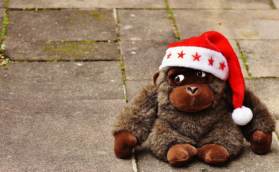 brown monkey plush toy wearing Santa hat, christmas, stuffed animal, HD wallpaper