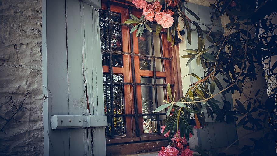 window, house, garden, plant, architecture, built structure HD wallpaper
