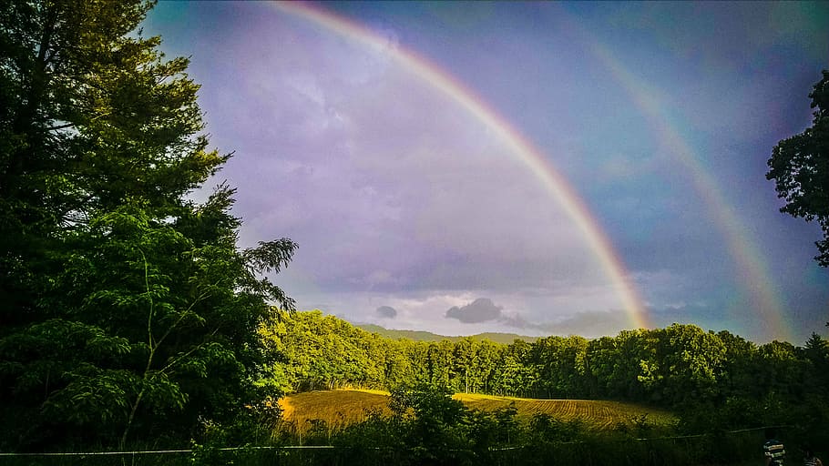 landscape photo of trees with rainbow, double, sky, nature HD wallpaper
