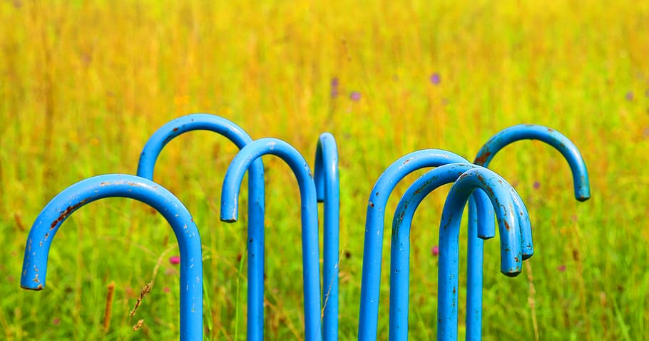 walking stick, handle, cane handle, floor, botanical garden HD wallpaper