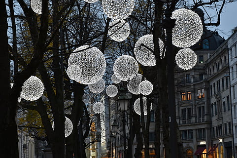 white pendant lamps attached on brown wooden trees, light, evening HD wallpaper