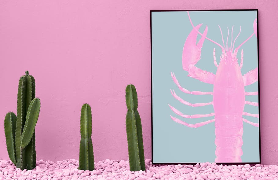 green cactus plants beside pink lobster painting, representation HD wallpaper