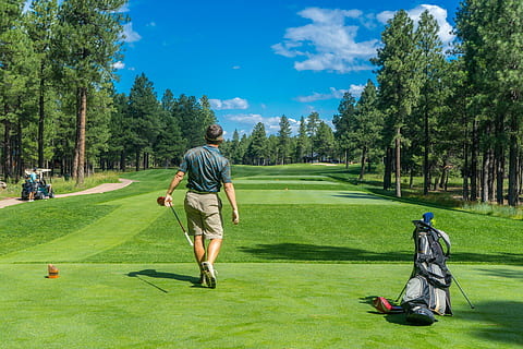 man in gray top, golfer, course, golfing, player, male, golf course HD wallpaper