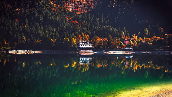 Reflection of Trees in Lake, architecture, autumn, beautiful HD wallpaper