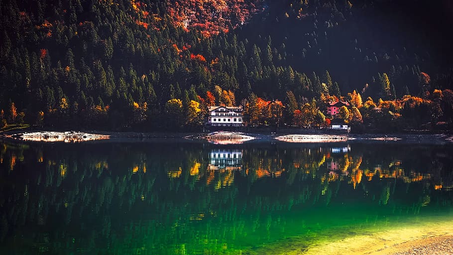 Reflection of Trees in Lake, architecture, autumn, beautiful HD wallpaper