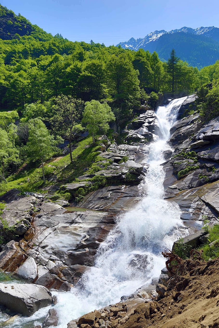 flowing waterfalls near green trees, nature, river, forest HD wallpaper