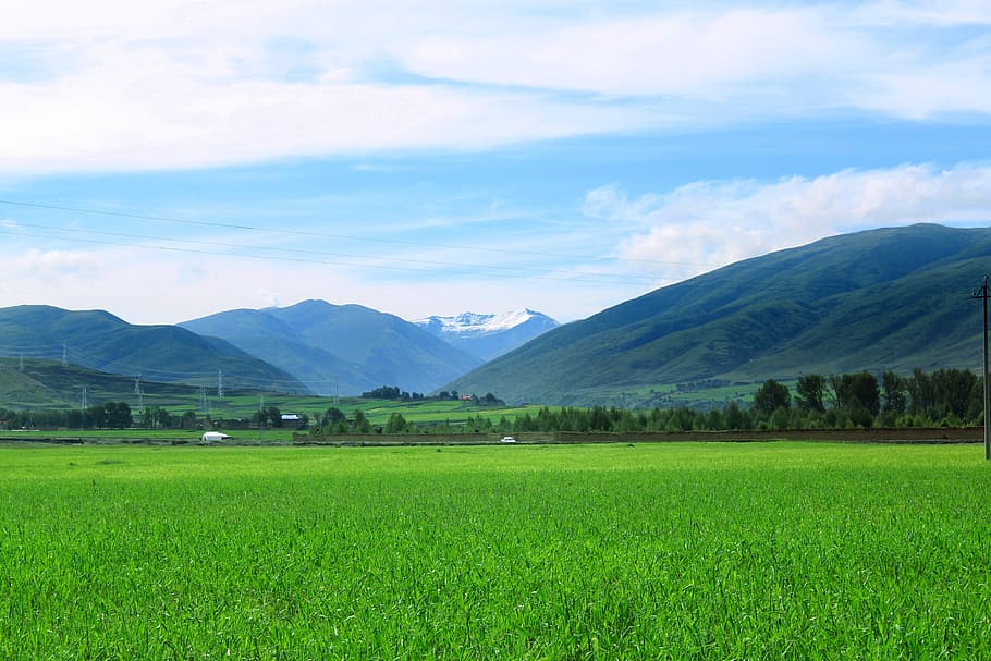 views, summer, blue sky, alpine, the sichuan-tibet, open country HD wallpaper