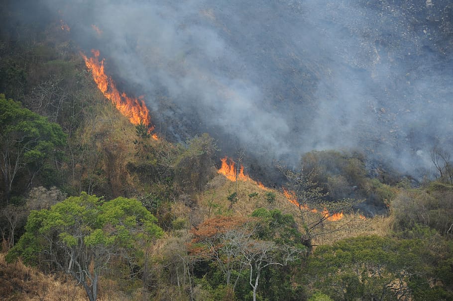 mountain, fire, disaster, burning, fire - natural phenomenon HD wallpaper