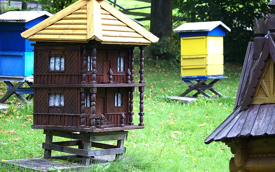 ul, ule, pasieka, cottage, bees, bee swarm, beekeeping, distributional effects HD wallpaper