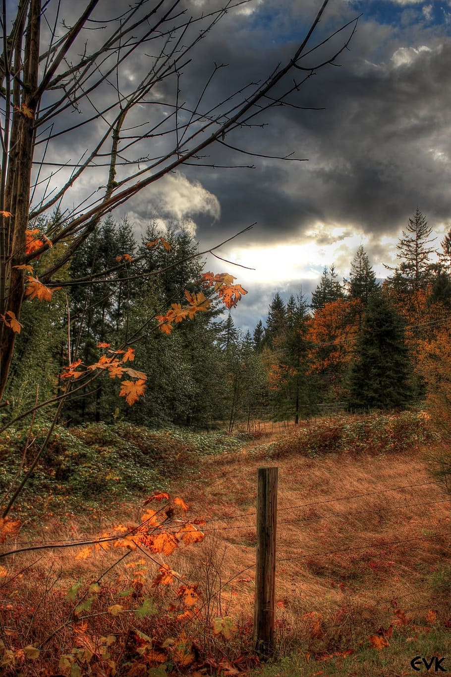 Clouds, Thunderstorm, Rainy, Nature, sky, trees, forest, cloud - sky HD wallpaper