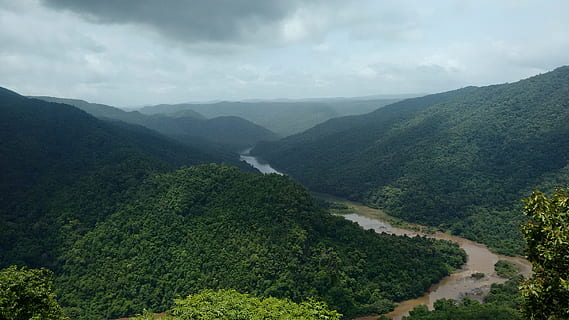 Dandeli, Kali, River, Karnataka, India, greenery, forest, western HD wallpaper
