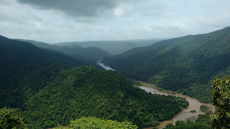Dandeli, Kali, River, Karnataka, India, greenery, forest, western HD wallpaper