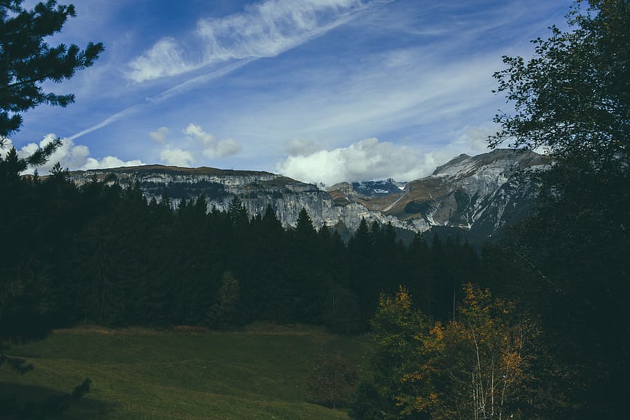 mountains, trees, forest, sky, landscape, nature, view, scenery HD wallpaper