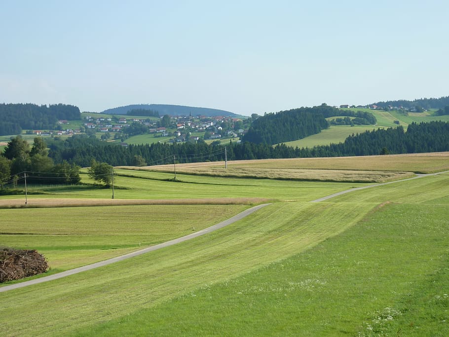 landscape, meadow, nature, golf, grass, sport, green Color HD wallpaper